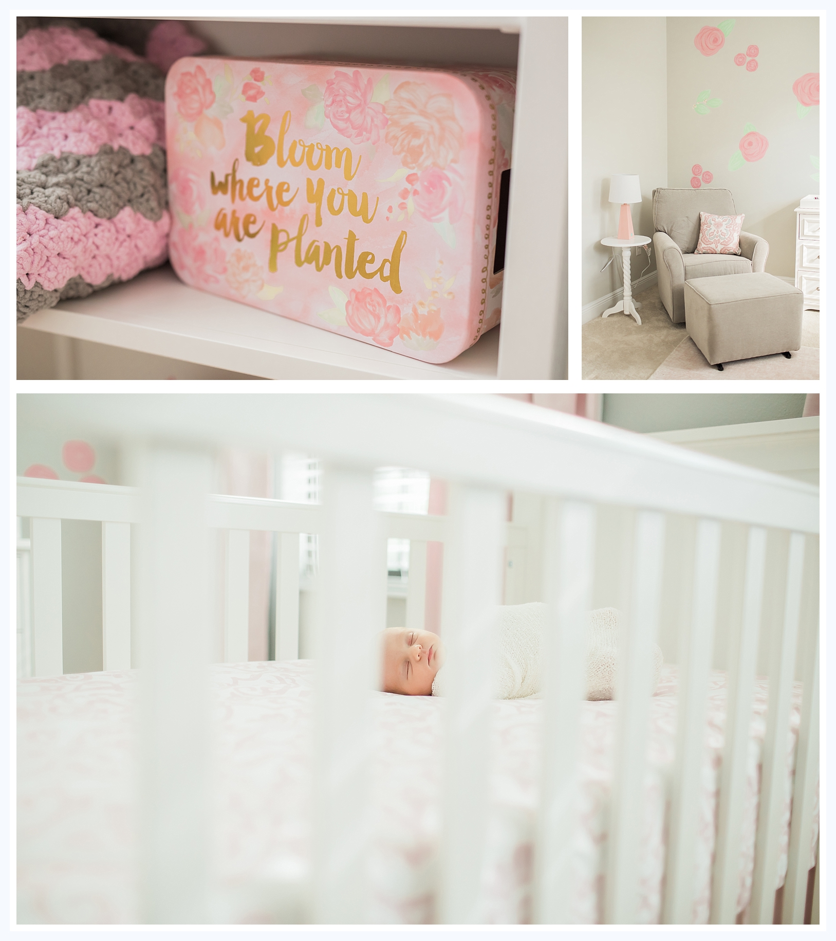 Darlene Barlows Family Portrait Session_0553.jpg