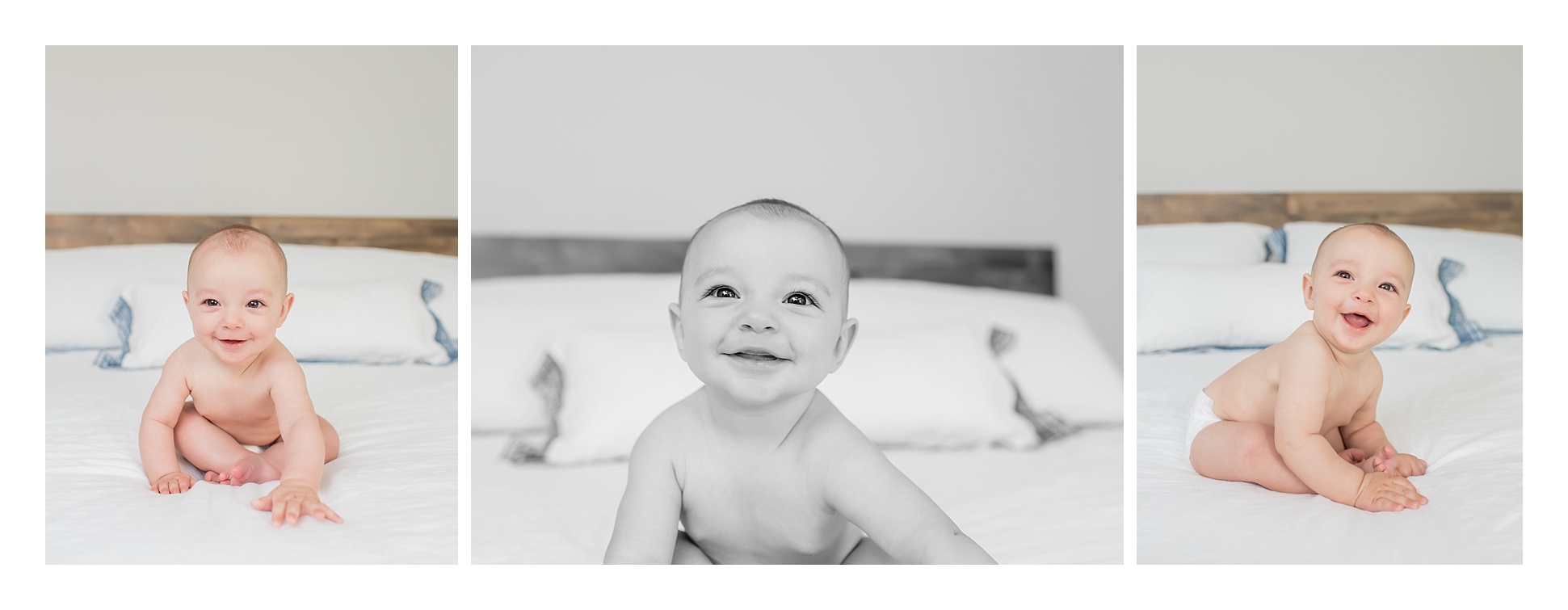 6 Month session-10e_WEB-1.jpg