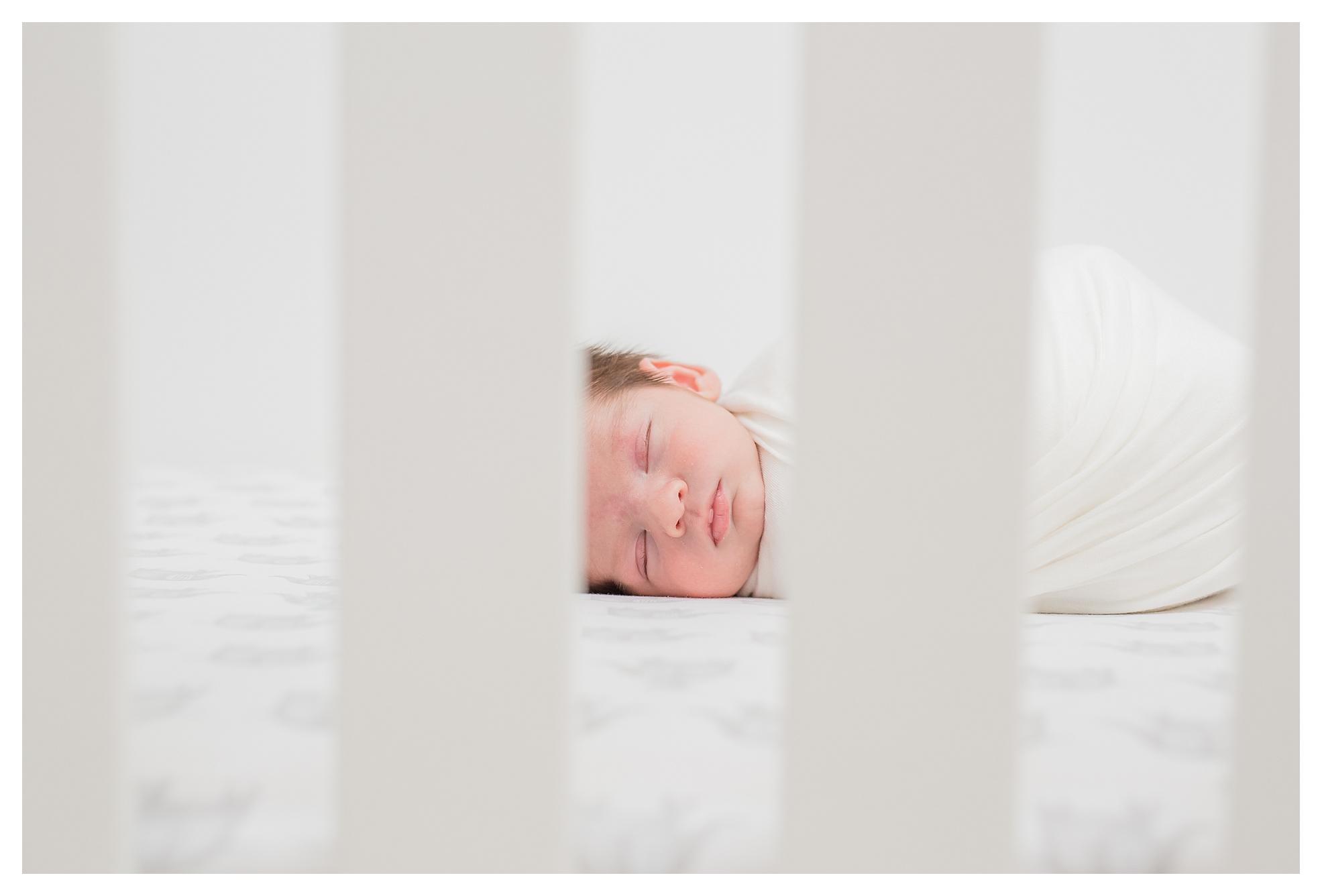 Tampa Florida Maternity Portrait session