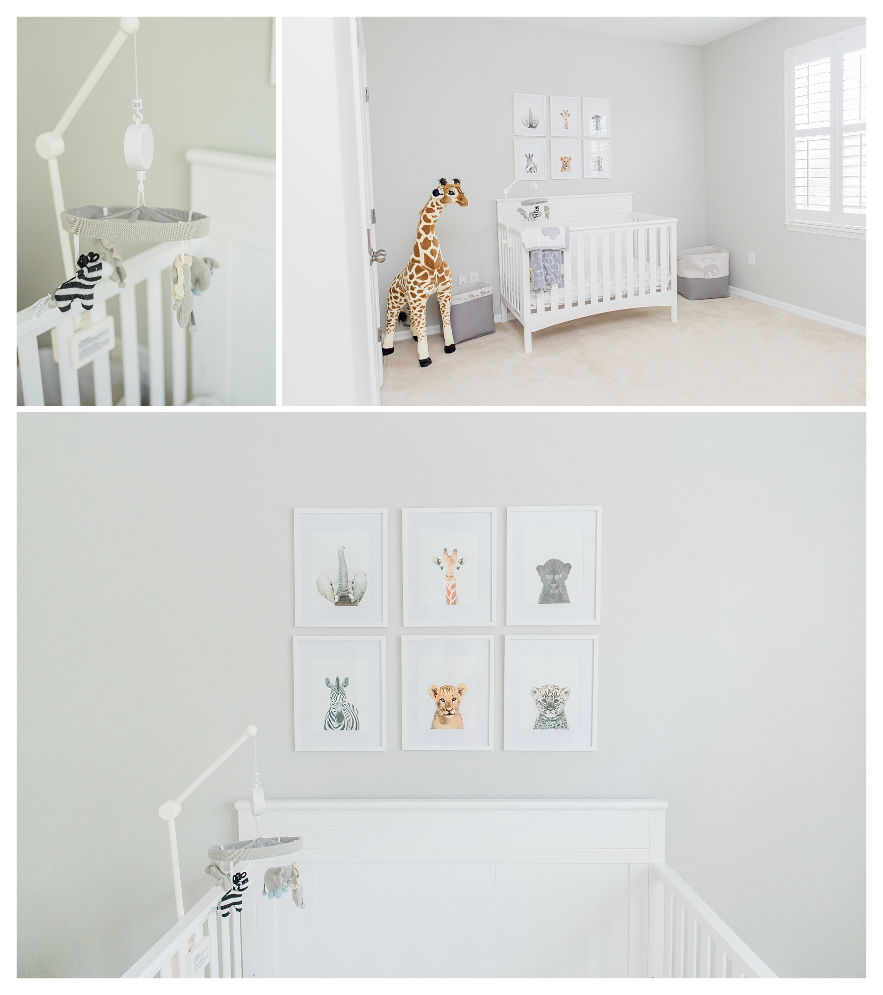 Tampa Florida Maternity Portrait session