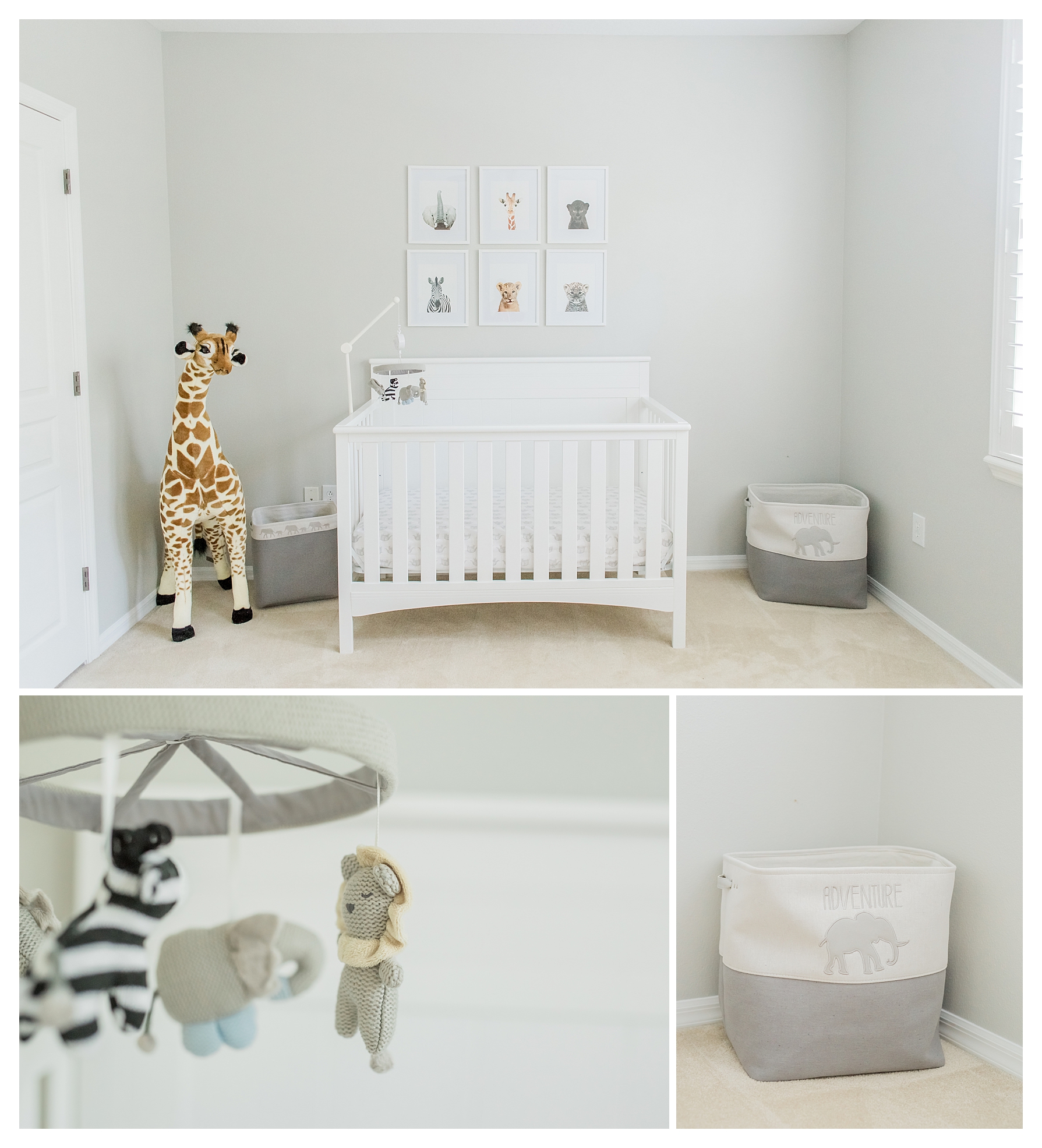 Tampa Florida Maternity Portrait session