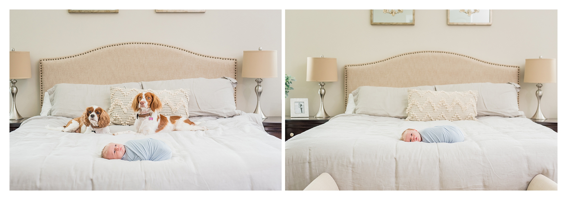 Luxe Newborn Session-123e_WEB.jpg